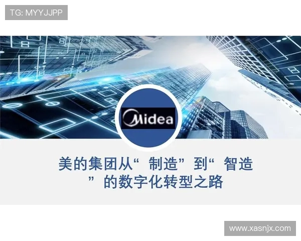 成都排球队转型之路：从传统强队到现代化竞技新标杆的深度解析
