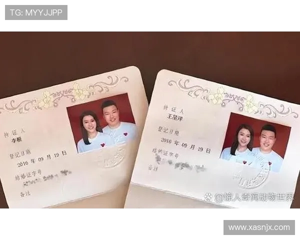 黄娜的篮球人生深度对话:从梦想起航到赛场辉煌的心路历程 黄娜的篮球人生深度对话:从梦想起航到赛场辉煌的心路历程